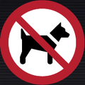 P021 No Dogs