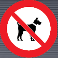 PV20 Dogs Prohibited