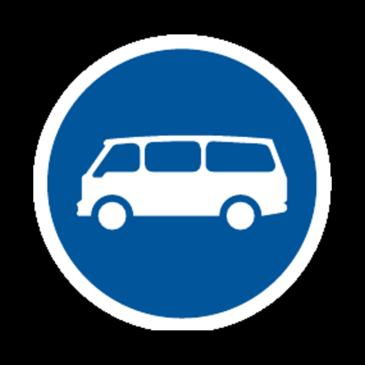 R119 – Mini-Buses Only Sign