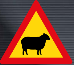 TW312 Domestic Animals (Sheep) Sign – Temporary