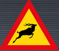 TW313 Wild Animals Ahead Sign – Temporary