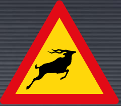 TW313 Wild Animals Ahead Sign – Temporary