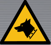 W013 Guard Dog