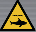 W054 Sharks