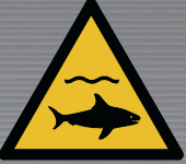 W054 Sharks