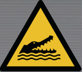 W067 Alligators, Caymans and Crocodiles