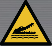 W067 Alligators, Caymans and Crocodiles