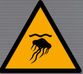 W069 Jellyfish