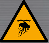 W069 Jellyfish