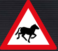 W311 Domestic Animals (Horses) Sign