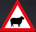W312 Domestic Animals (Sheep) Sign