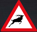 W313 Wild Animals Ahead Sign