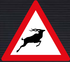 W313 Wild Animals Ahead Sign